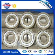 High Quality Low Price Insulated Series Bearing (6313)